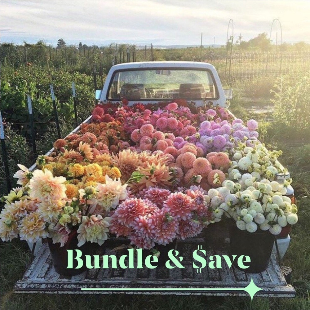 Bundle & Save